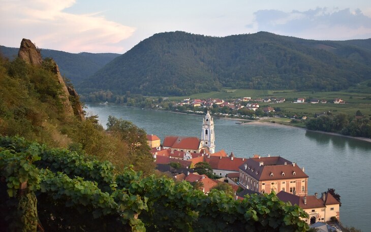 Bild 5