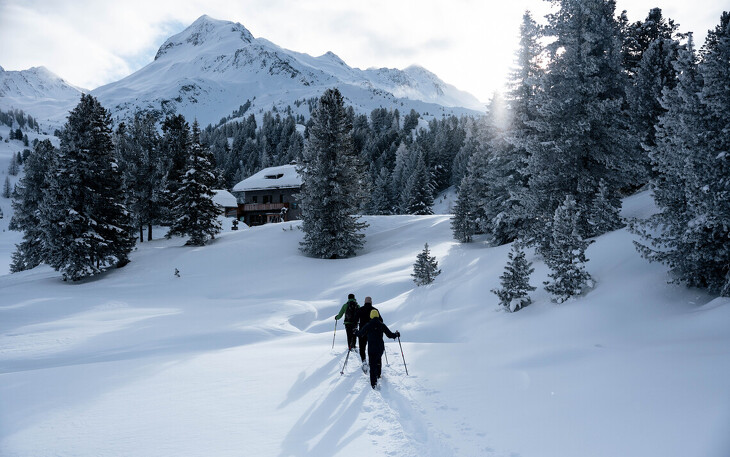 Bild 11