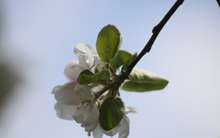 Bild 7