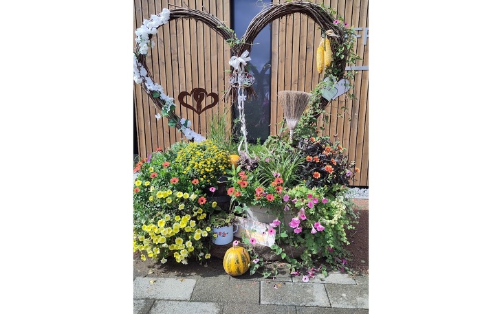 Bild 6