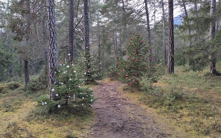 Bild 7