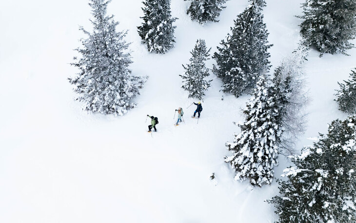 Bild 22